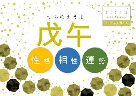 戊午馬|四柱推命【戊午 (つちのえうま)】の特徴｜性格・恋愛 